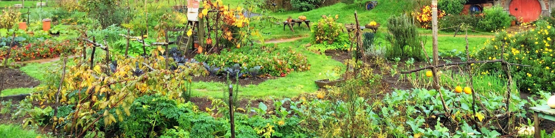 A visit to Hobbiton is a must-do for any Lord of the Rings fan. Return trips from Rotorua are $110 including the tour, and it's absolutely worth it.