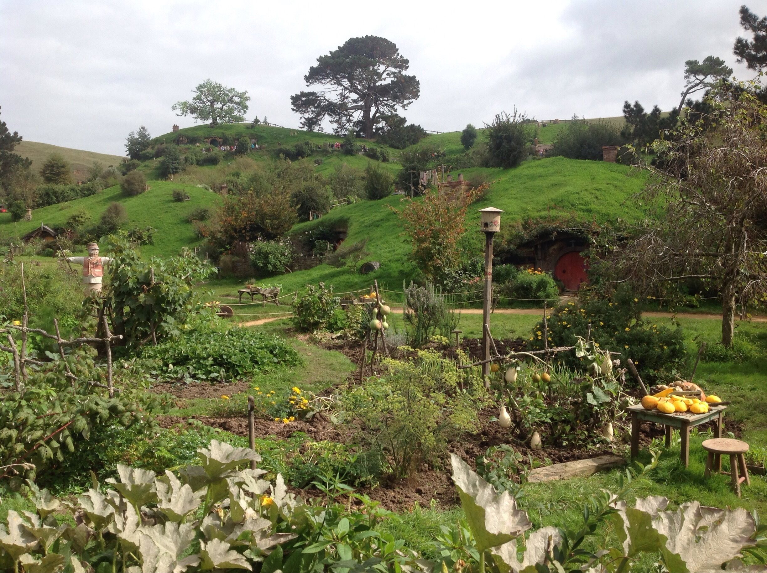 Set used for The Hobbit and Lord of the Rings 