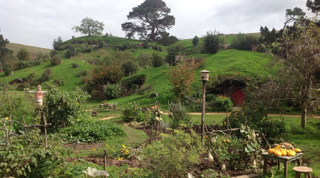 Set used for The Hobbit and Lord of the Rings