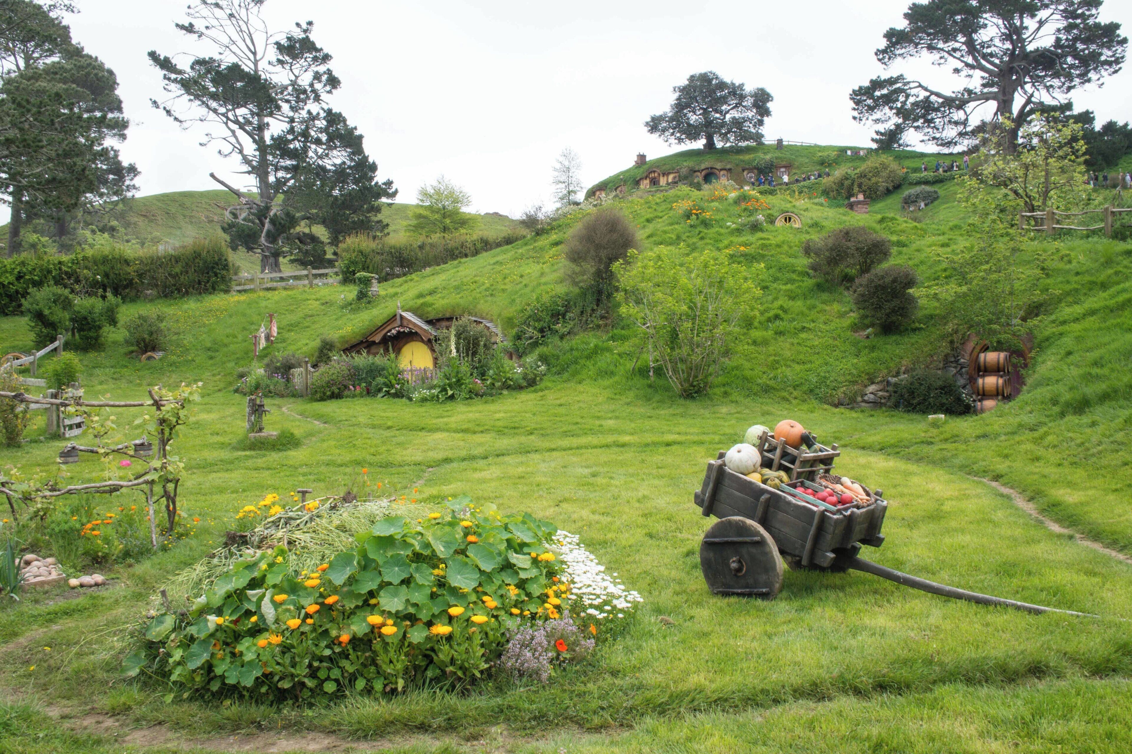 Expert local à Matamata : trouvez des choses à faire à Matamata