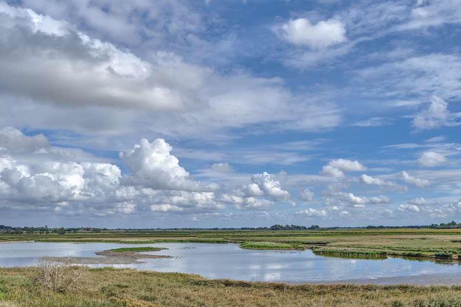 Naturschutzgebiet Wester-Spätinge,Simonsberg,Nordfriesland,Deutschland