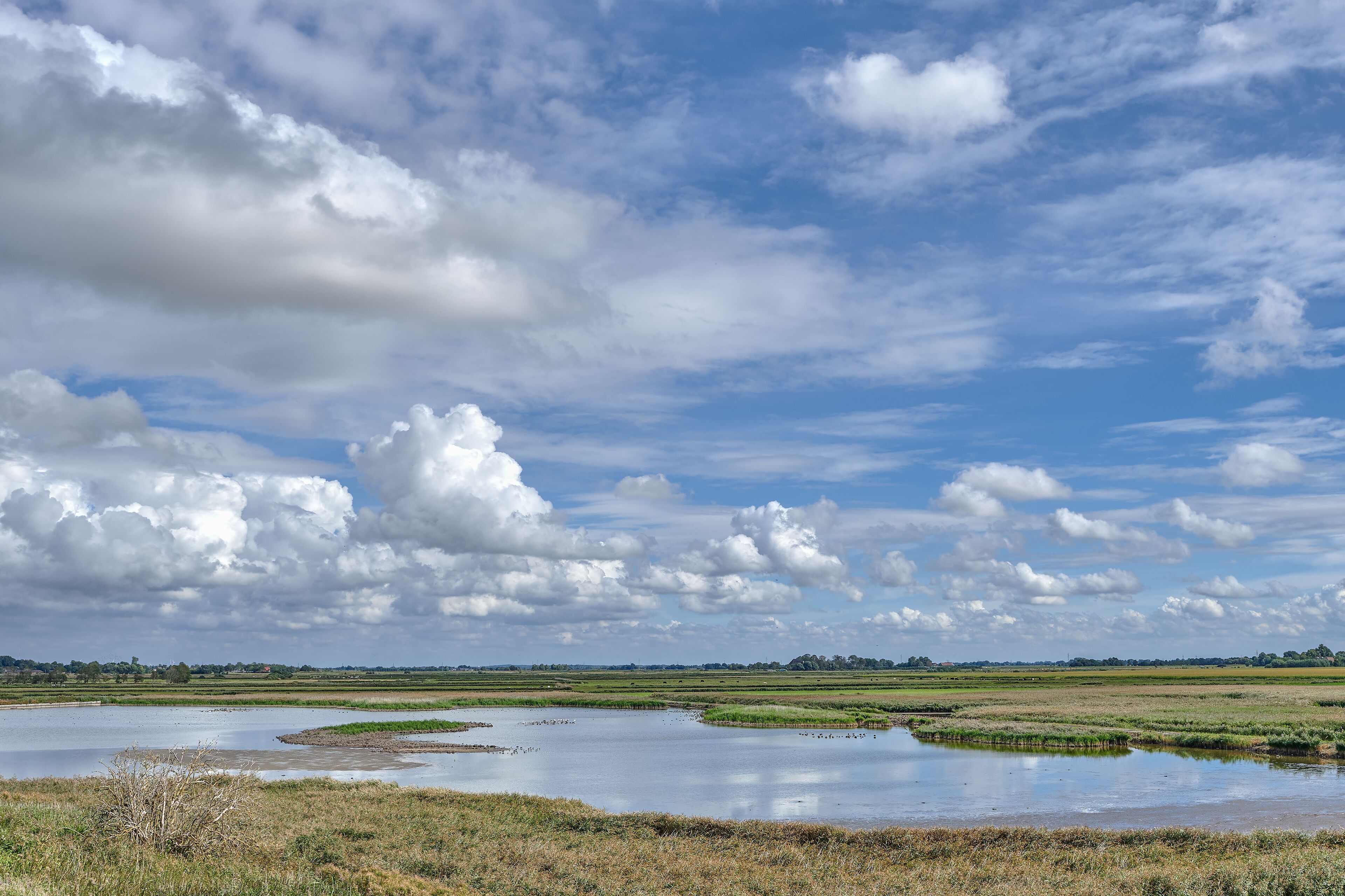 A river meandering through a flat landscape with scattered trees and a cloudy sky.