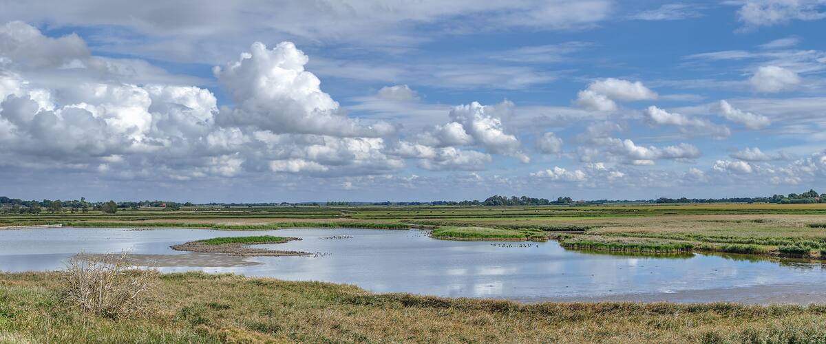 A river meandering through a flat landscape with scattered trees and a cloudy sky.