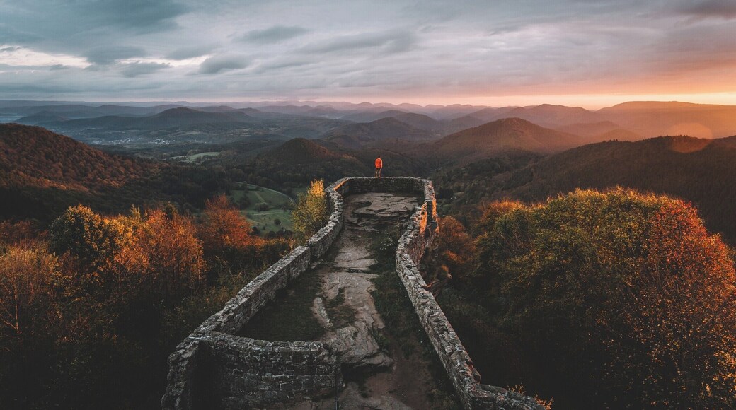 Throwback to an awesome trip back in Autumn... driving around the Vosges and Germany, sleeping in cars and watching sunrises!
#troveon #germany #hiking #sunrise
Make sure you follow me on: https://www.facebook.com/ShotByCanipel/ https://www.instagram.com/canipel/