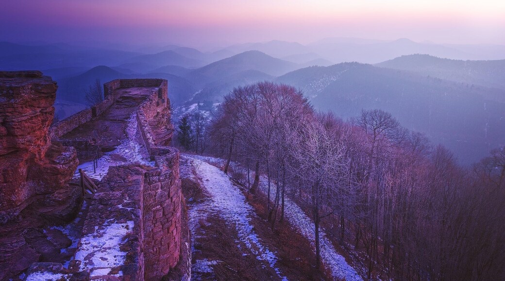 Die Wegelnburg,
Sie gilt als höchste Burg von Rheinland-Pfalz und bietet spektakuläre Aussichten über den Pfälzerwald. Man erreicht sie über einen recht steilen Fußweg vom Dörfchen Nothweiler in gut einer Stunde.
#Wegelnburg #Palatinate_forest #Pfälzerwald #Germany #Nothweiler #Burgen #Wandern