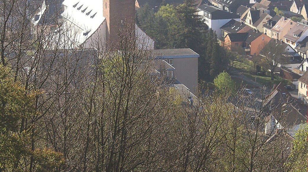 This is a photograph of an architectural monument. It is on the list of cultural monuments of Rodalben