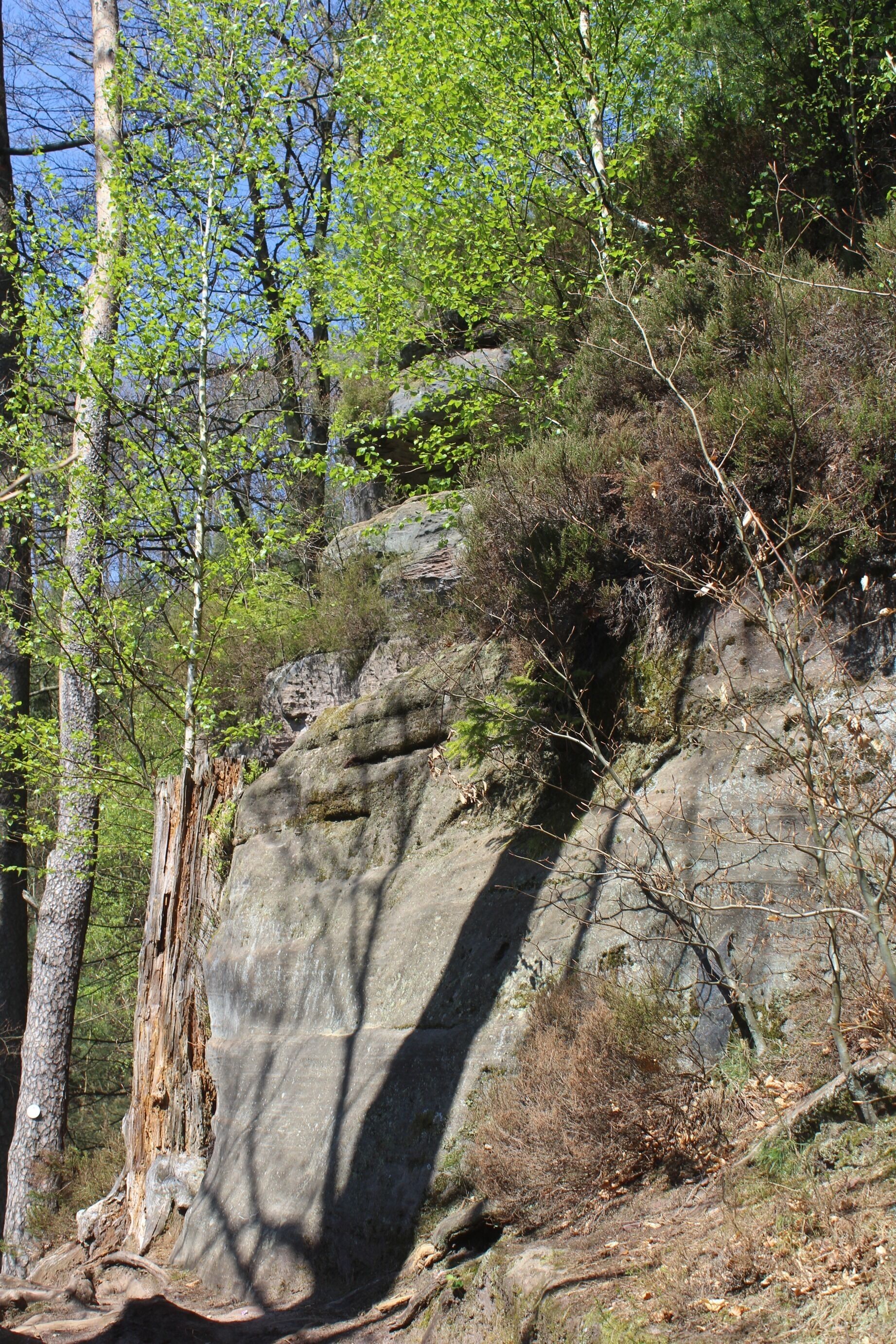 Rodalben, the rock "Saufelsen"