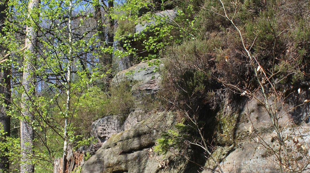 Rodalben, the rock "Saufelsen"