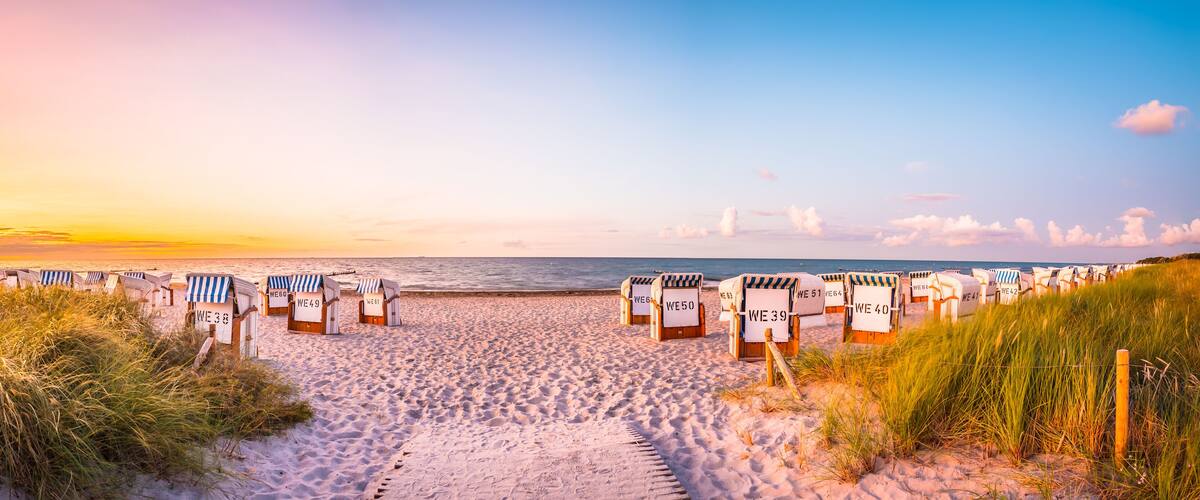 A beach with rows of beach chairs labeled with numbers, a sandy path leading to the sea, and a sunset in the background.