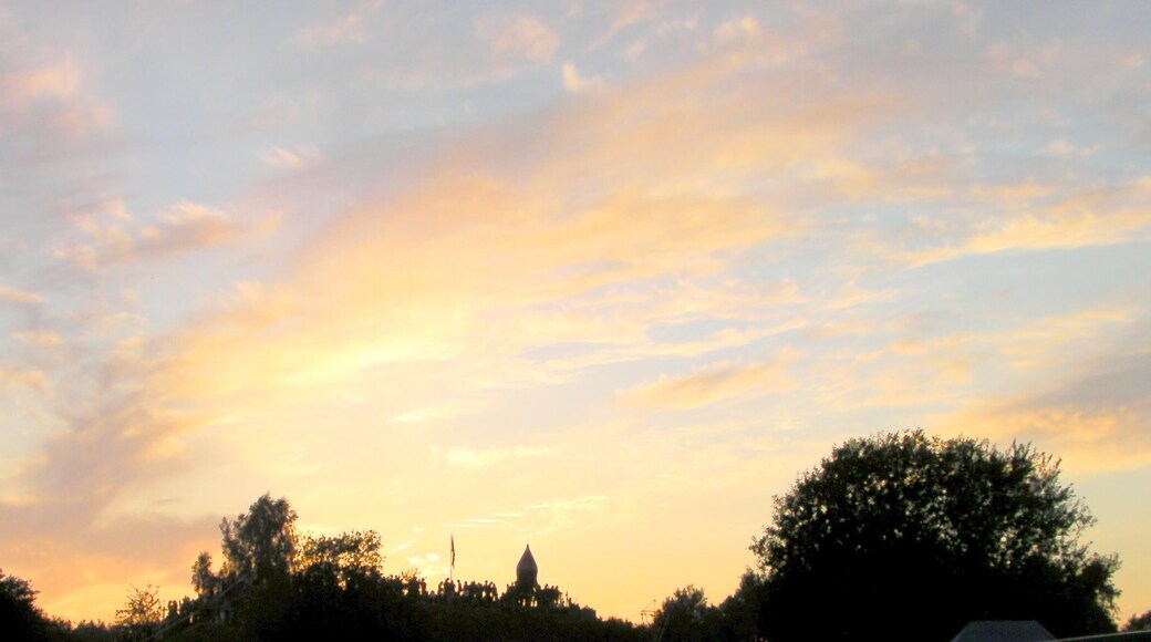 Fusion Festival 2008 Fusion Festival 2008