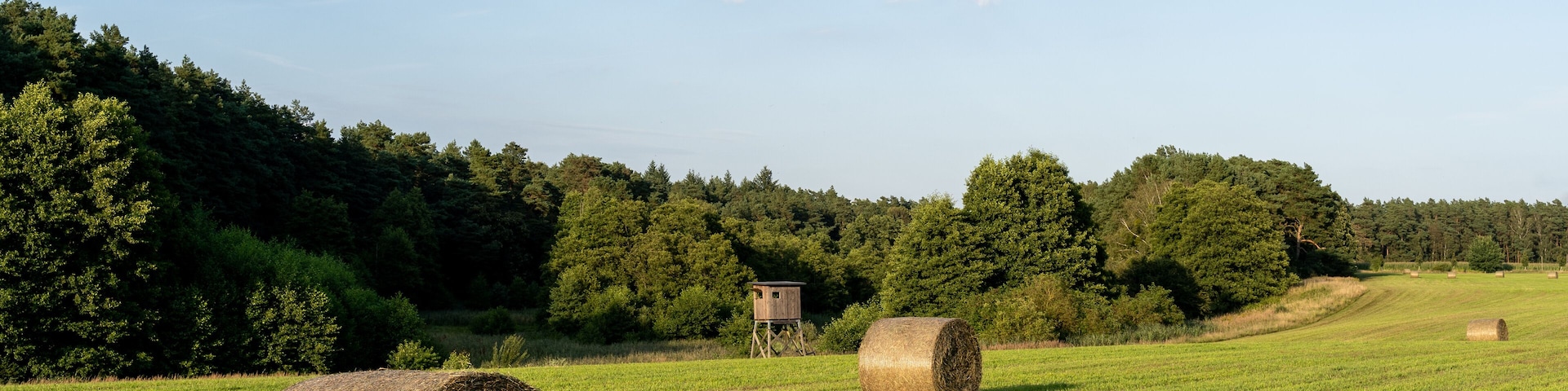hay bales in the field, Gransee, Germany