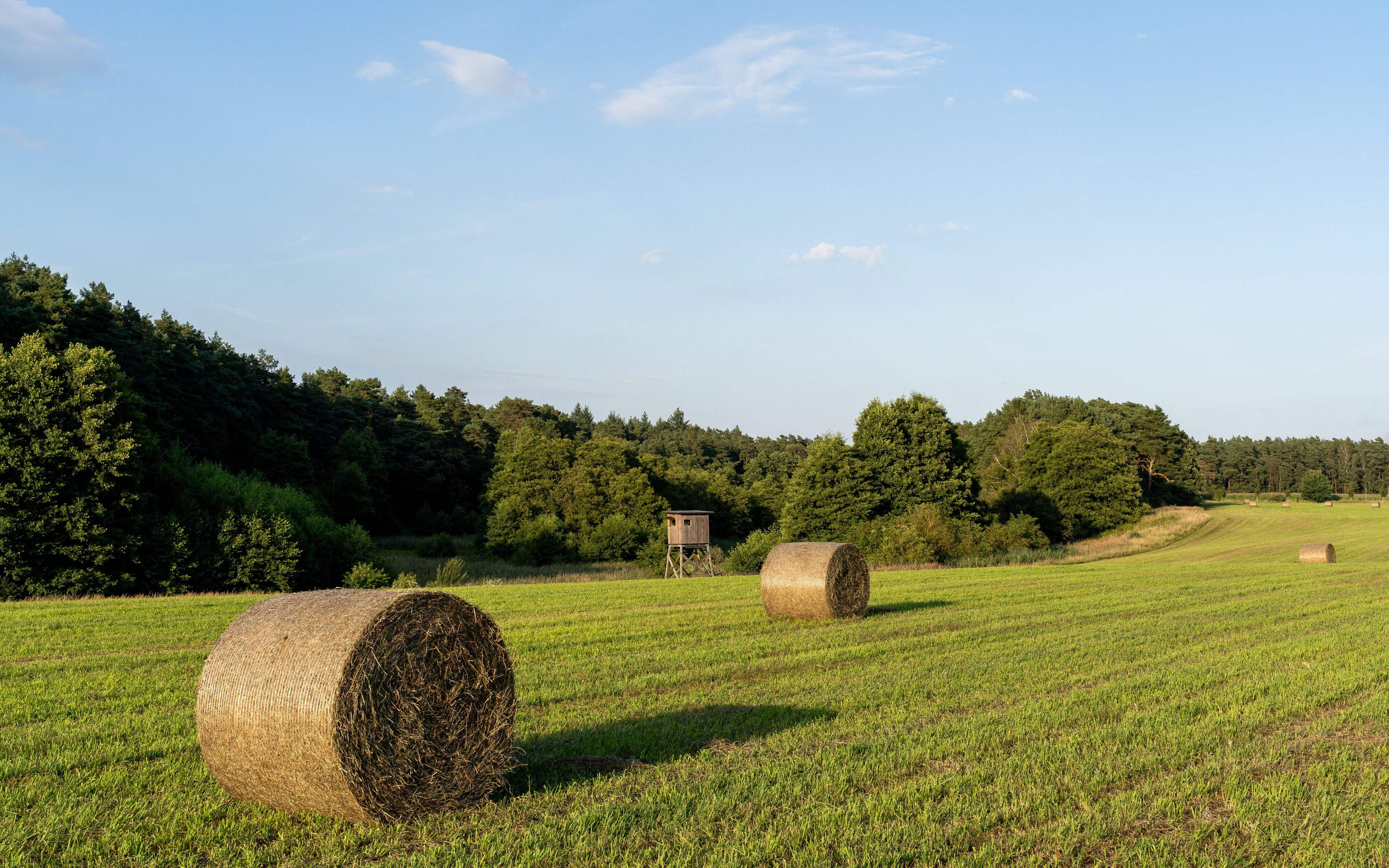 A rural landscape with hay bales and a wooden structure in a field.