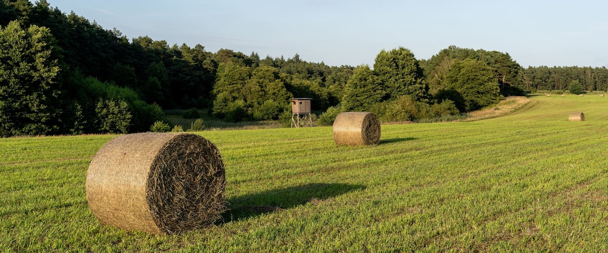 A rural landscape with hay bales and a wooden structure in a field.