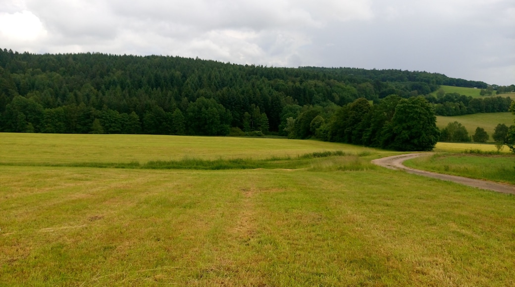 Die Erkelshöhe von Wiesen aus gesehen