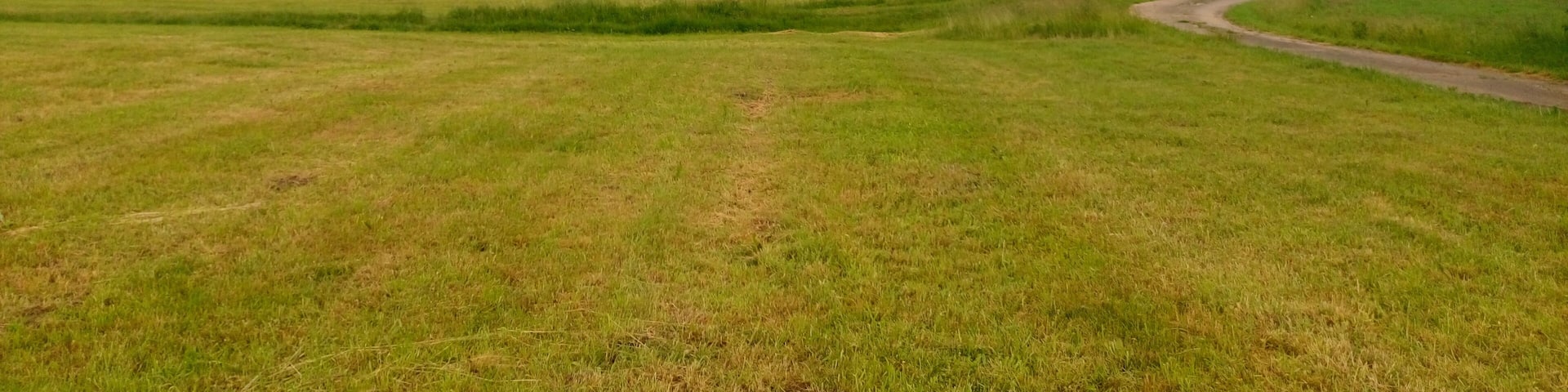 Die Erkelshöhe von Wiesen aus gesehen