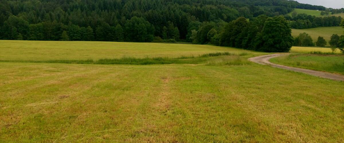 A rural landscape with a winding road, green fields, and a forested hill in the background.