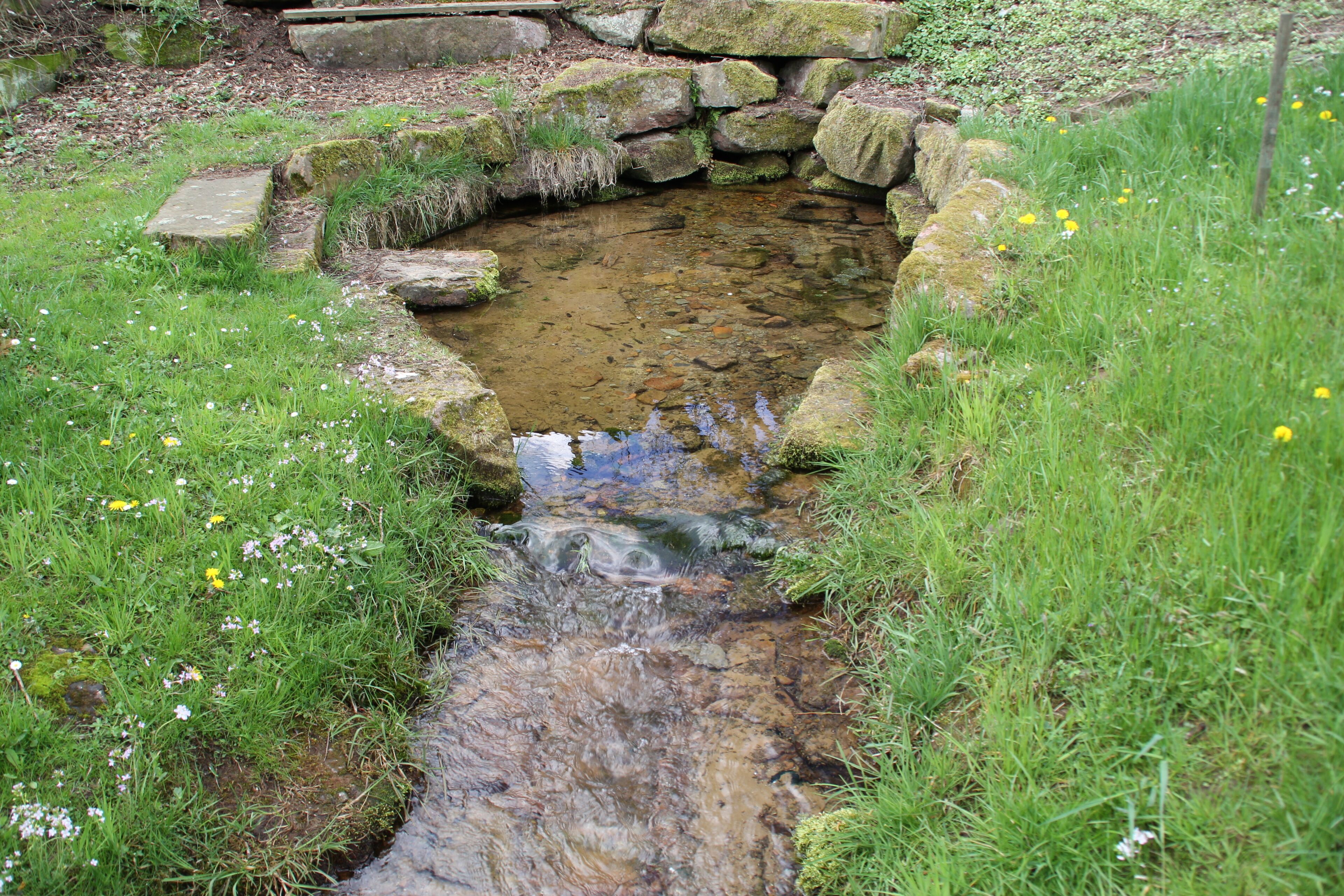 Die Aubachquelle in Wiesen, Bayern