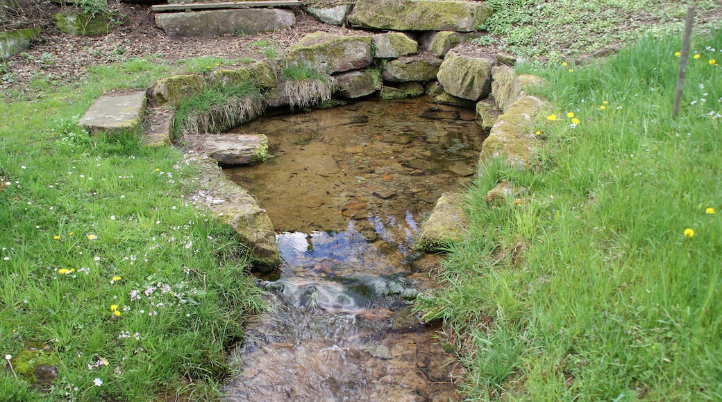 Die Aubachquelle in Wiesen, Bayern