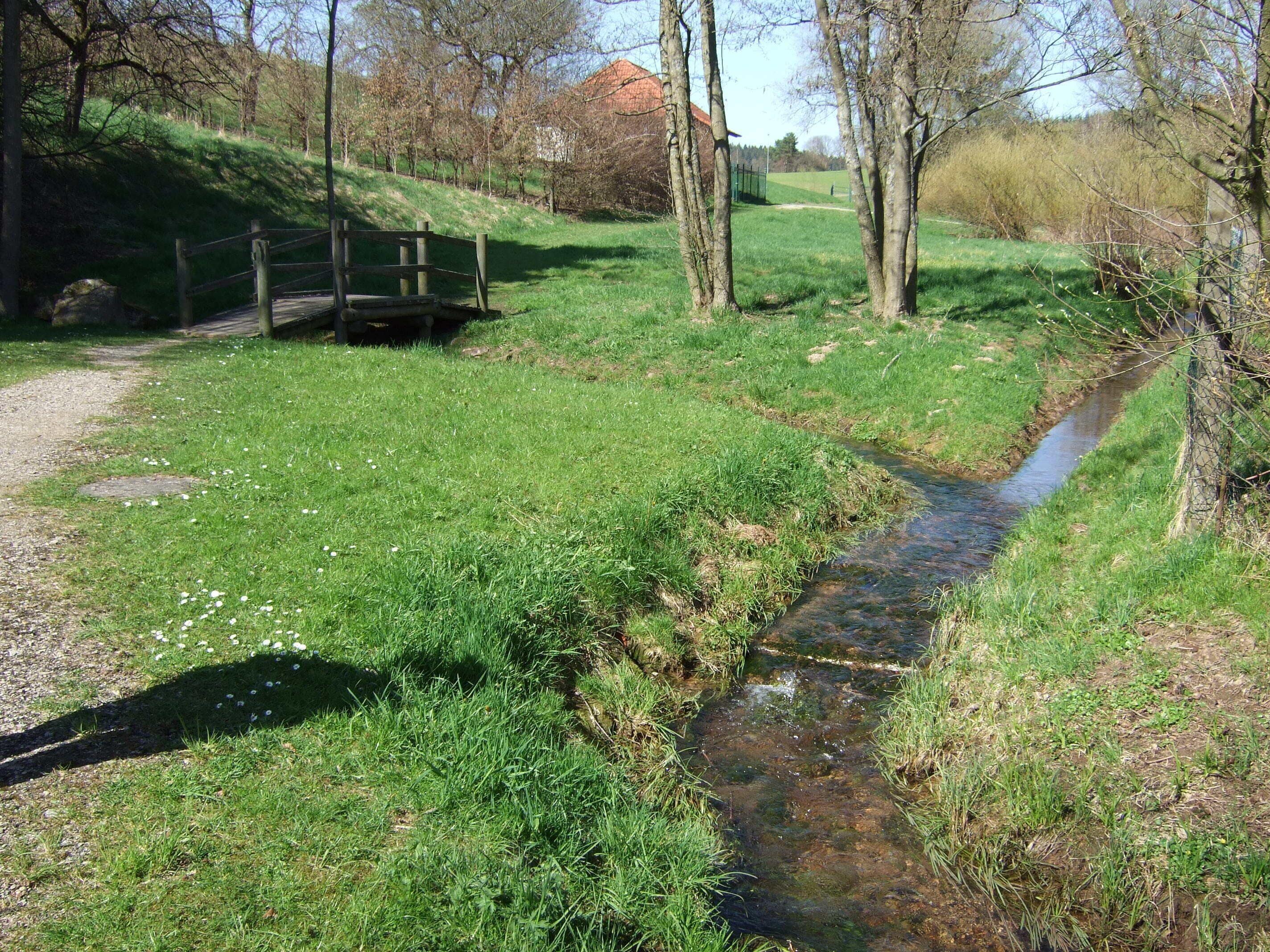 Zusammenfluss des Abflusses der Aubachquelle (links) und des Wiesbüttgraben (rechts)
