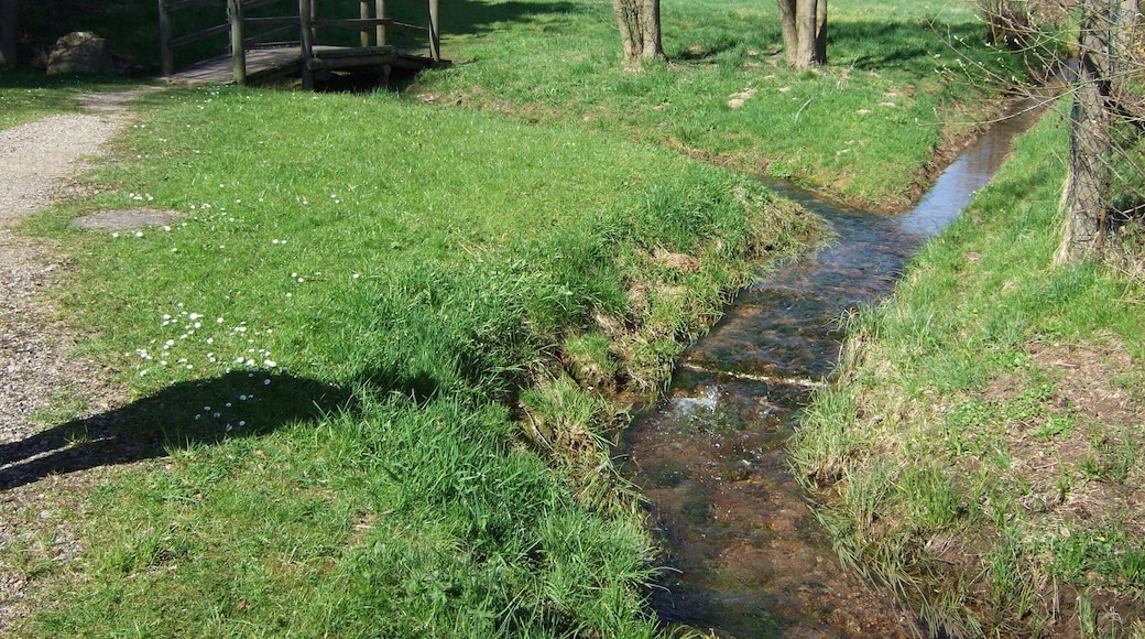 Zusammenfluss des Abflusses der Aubachquelle (links) und des Wiesbüttgraben (rechts)