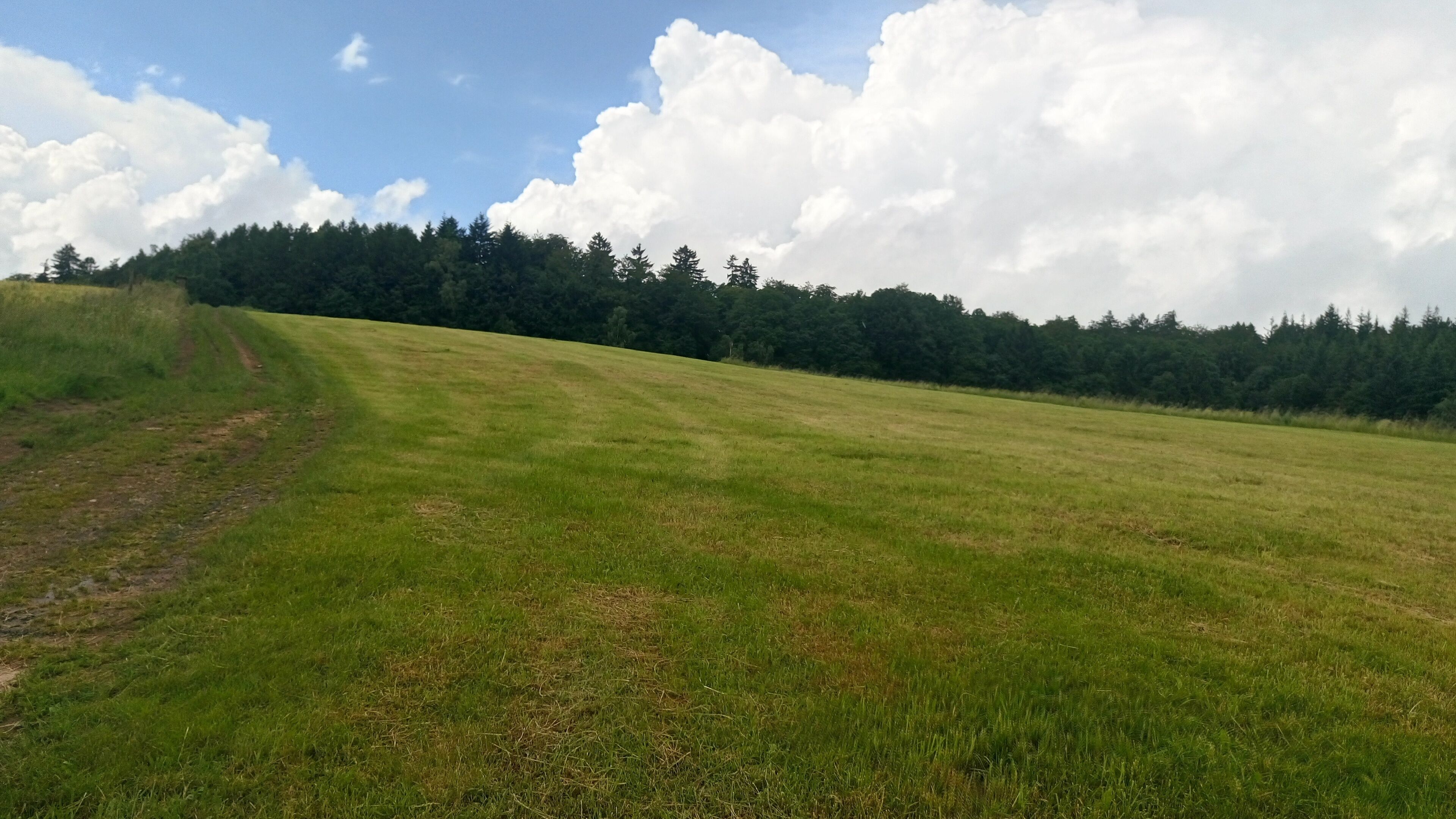 Der Greifenberg bei Wiesen