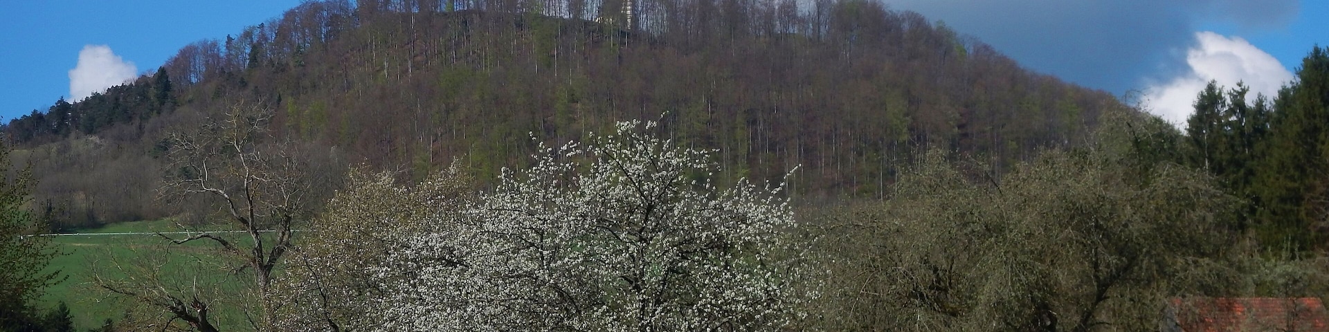 Burg Hohenrechberg: Der Rechberg besteht aus zwei ungleichen Bergkuppen, dem 643 Meter hohem Schlossberg mit der Burgruine Rechberg, und dem 707 Meter hohem Kirchberg, dem Hohenrechberg mit seinem Heiligturm, der Wallfahrtskirche. Seit Ende des 11. Jahrhunderts ist der Hohenrechberg ein Gnadenort.