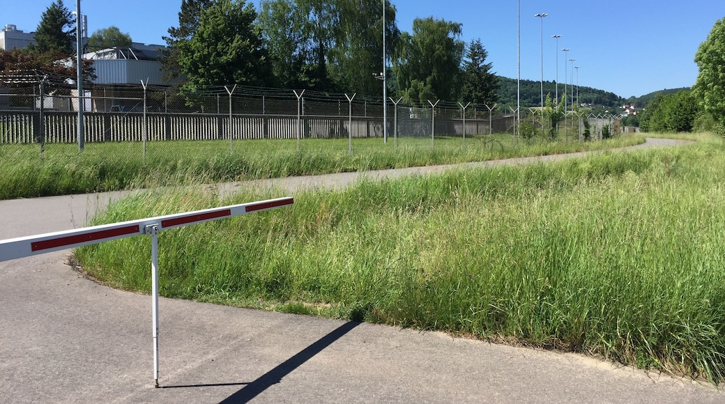 Der Radweg führt zwischen Fluss und dem Atomkraftwerk entlang.
