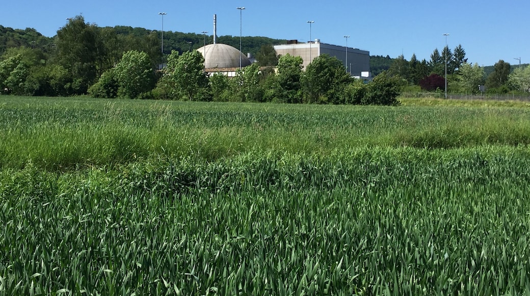Der Radweg fĂŒhrt zwischen Fluss und dem Atomkraftwerk entlang.