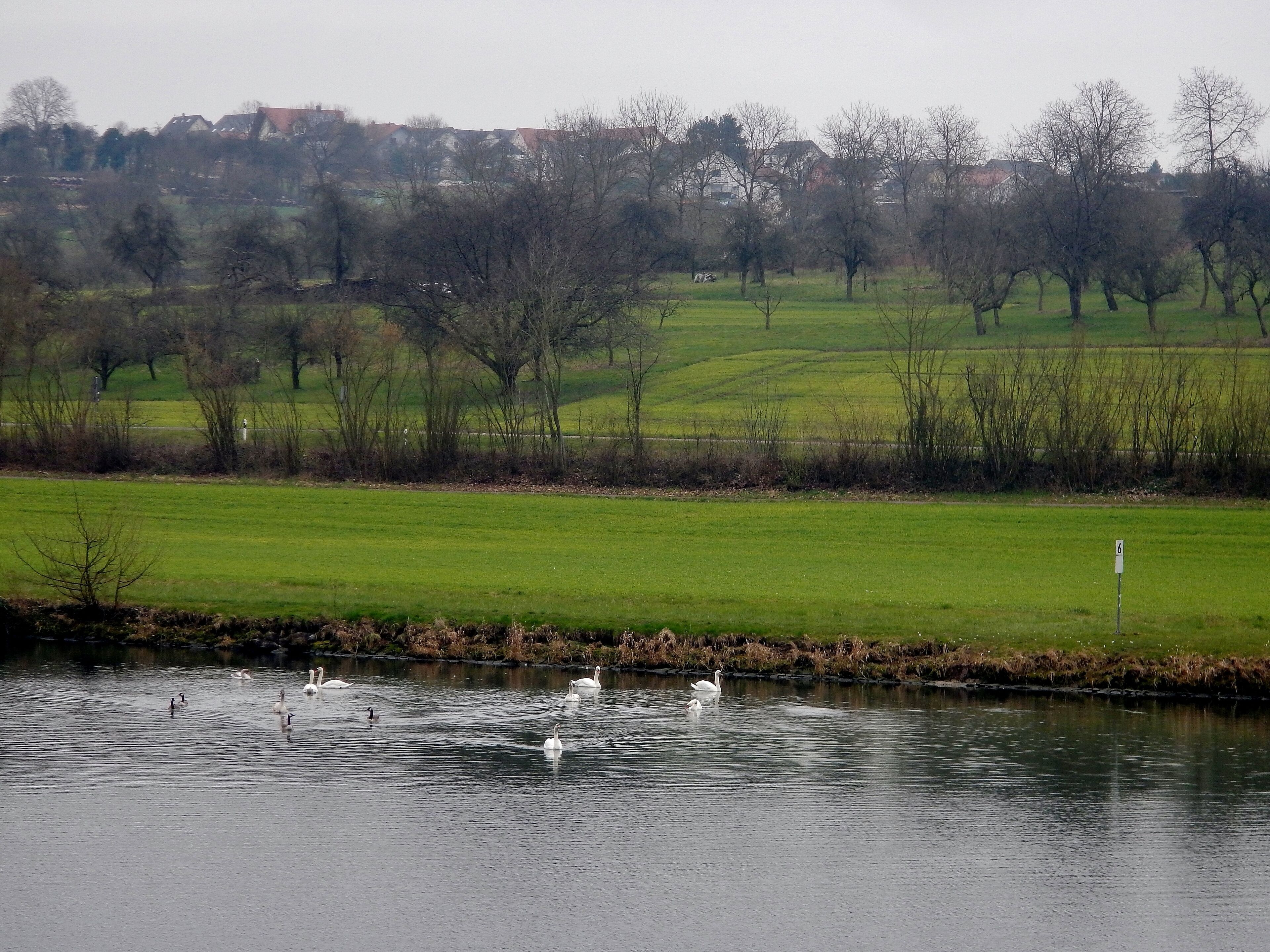Neckartal-Weg, Odenwald-Madonnen-Weg, 3 Länder-Radweg, Burgenstraße, Paneuropa-Radweg, 3 Täler Radweg, Kurpfalzachse