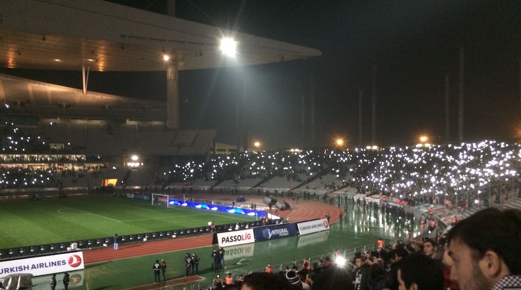 Bjk Tottenham Soccer Match