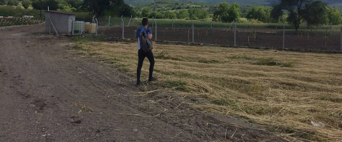 A rural landscape with a dirt path, a small building, a fenced field, and mountains in the background.