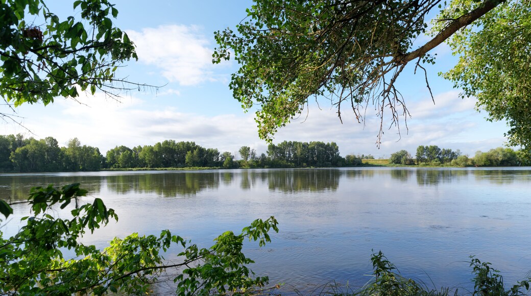 شاتونوف سور لوار