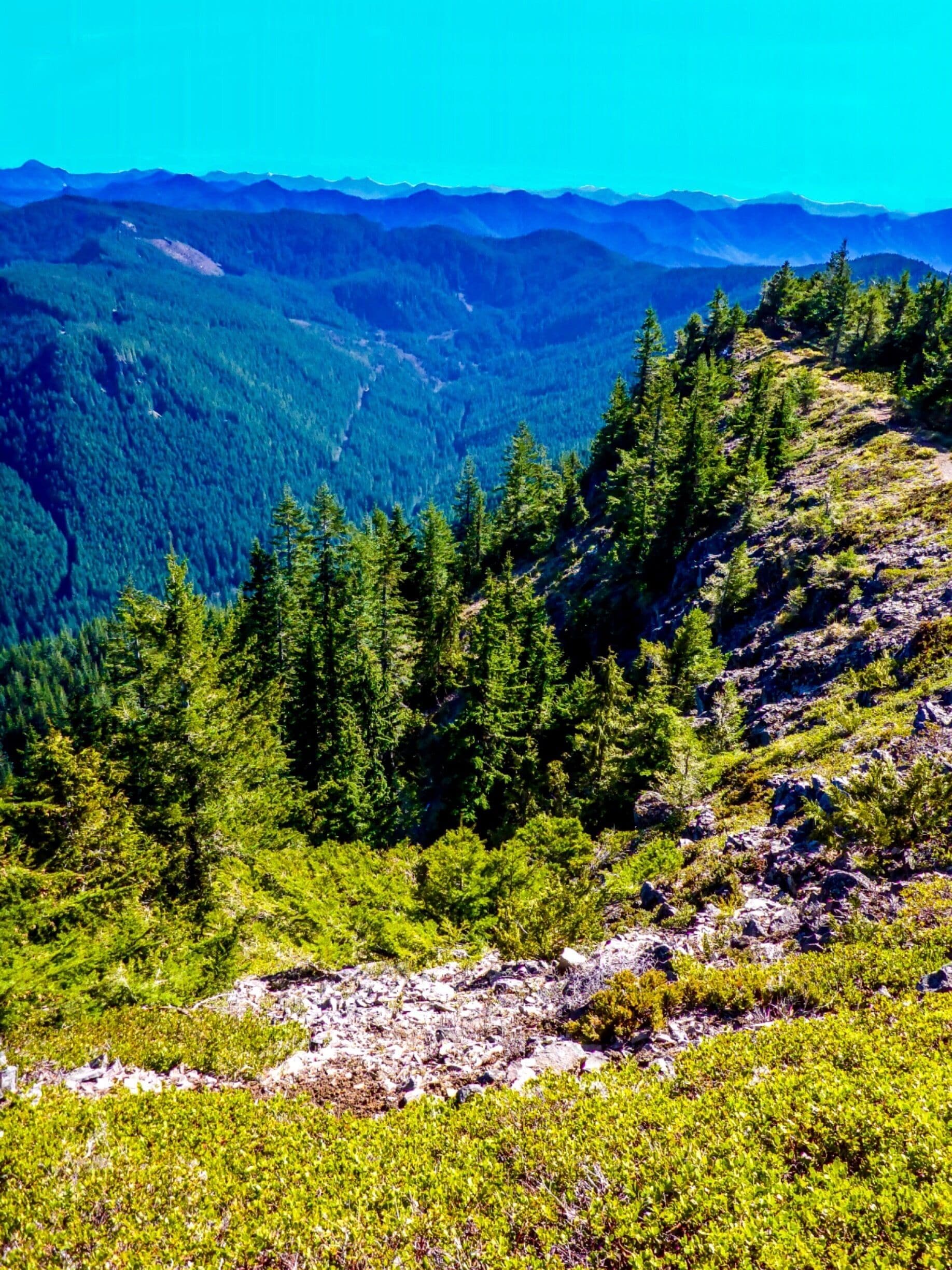 A mountainous landscape with dense forests and rocky terrain.