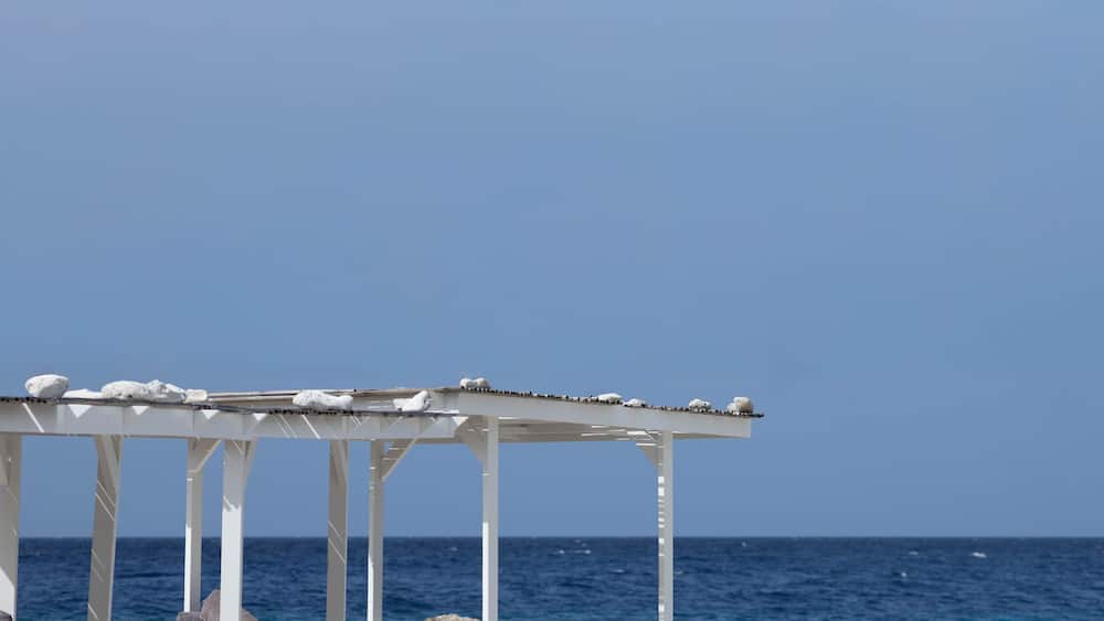 A white gazebo with a clear view of the ocean and a blue sky.