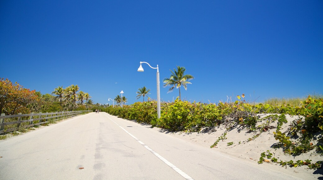 Hollywood North Beach Park