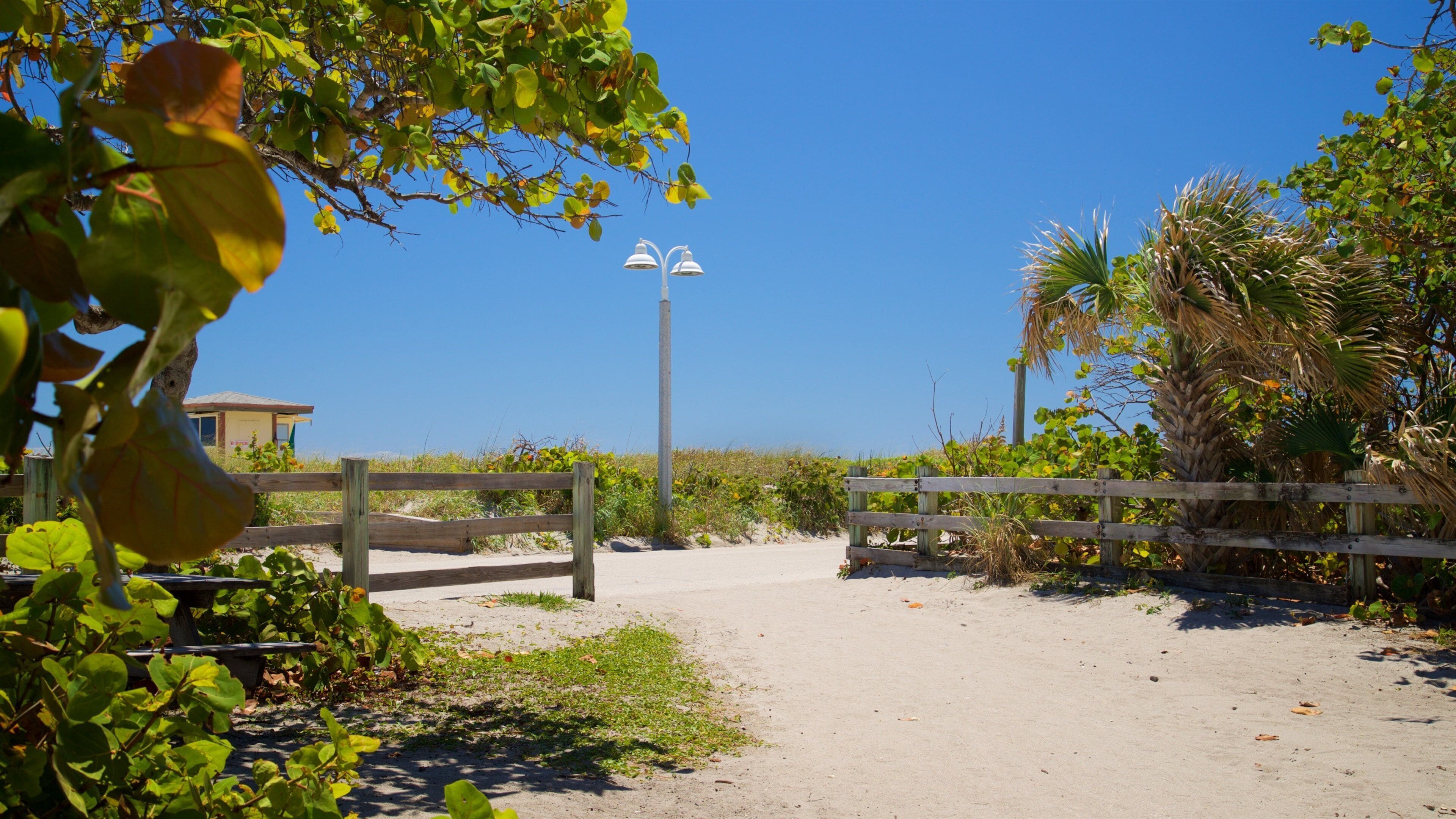 Hollywood North Beach Park