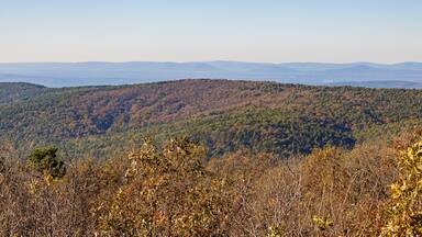 High angle view of Talimena National Scenic Byway
