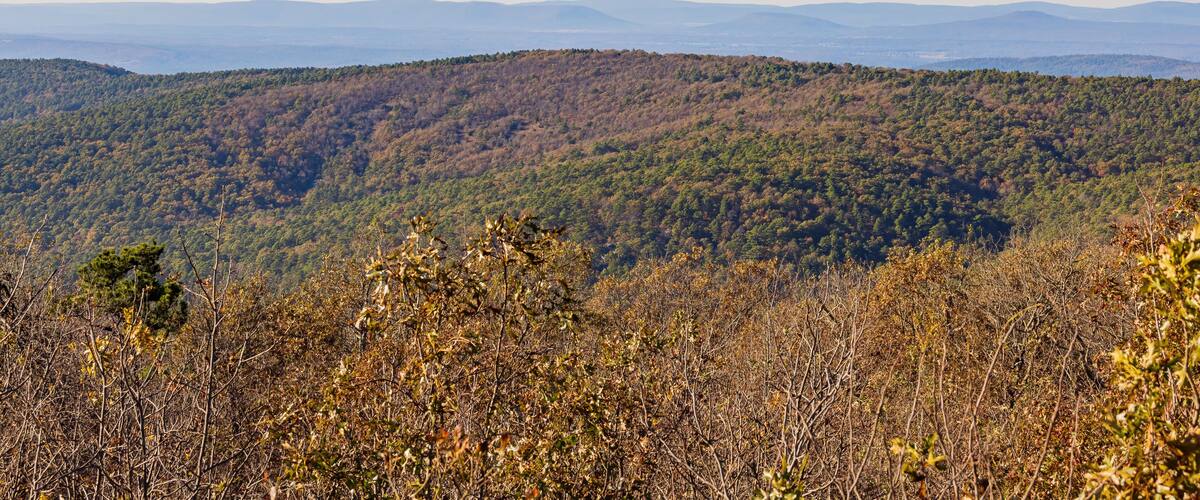 A mountainous landscape with dense forests and a clear sky.