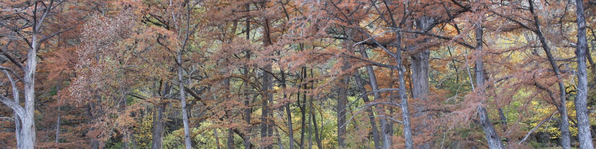 Frio River