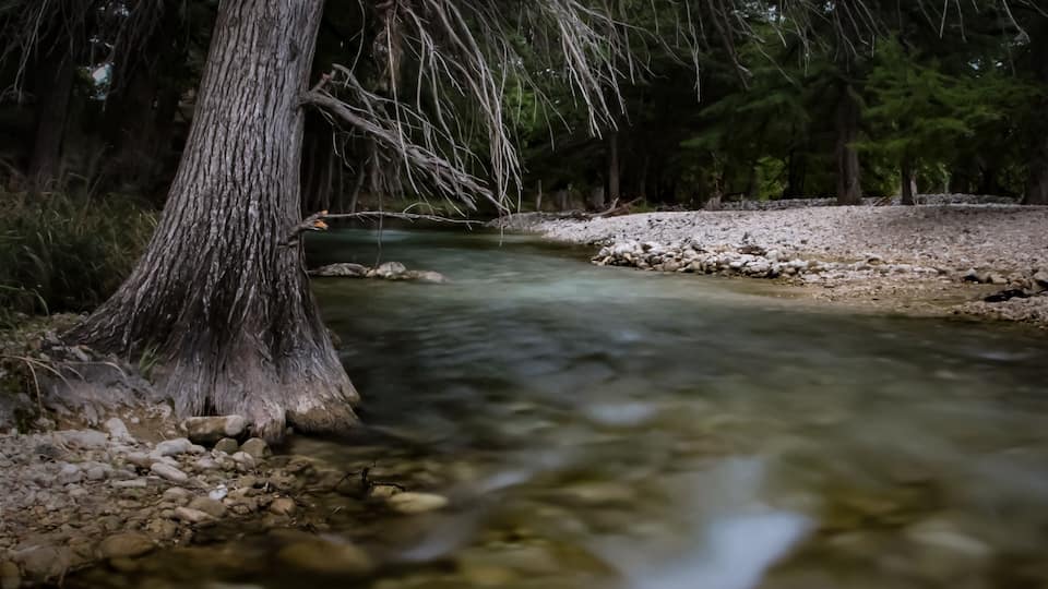 A clear stream flowing through a forested area with a rocky riverbank.