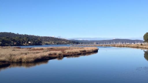 One thing I love about the small towns in Tassie is it only takes seconds to feel like you're far away from everyone else.
This is just past Cygnet on the drive between Huonville and Kettering. If you've got some time take a walk along the boardwalk.