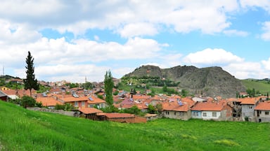 The historical mosques, bridges, baths and houses in the historical Gediz Town in Kutahya, Turkey attract attention from tourists.