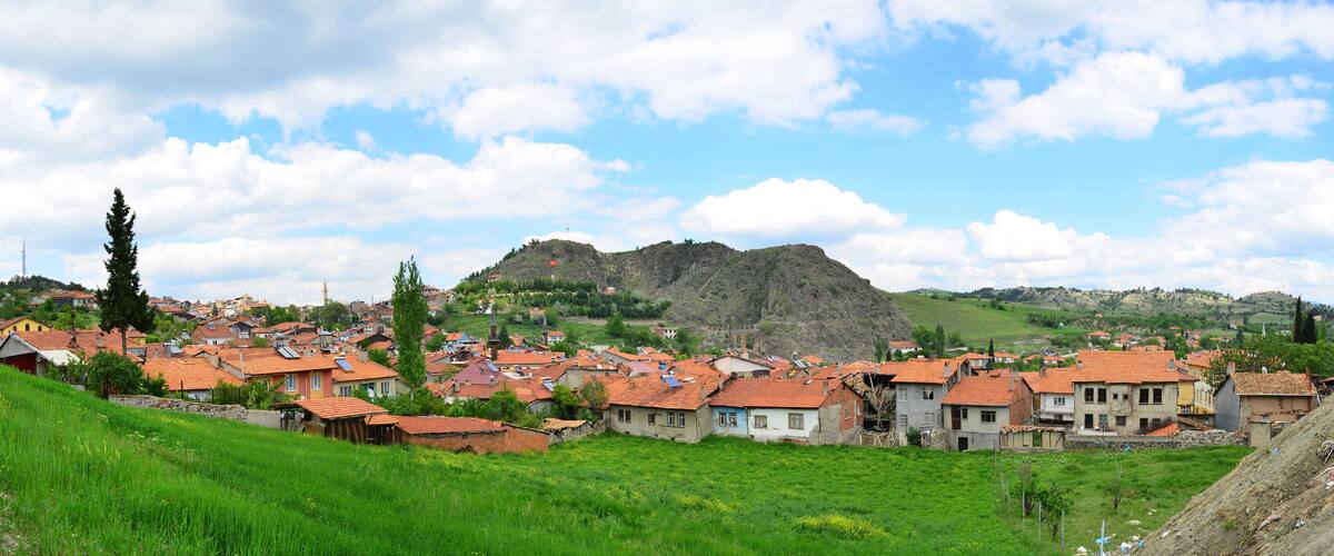 A village with red-roofed houses, green fields, and a mountain in the background.