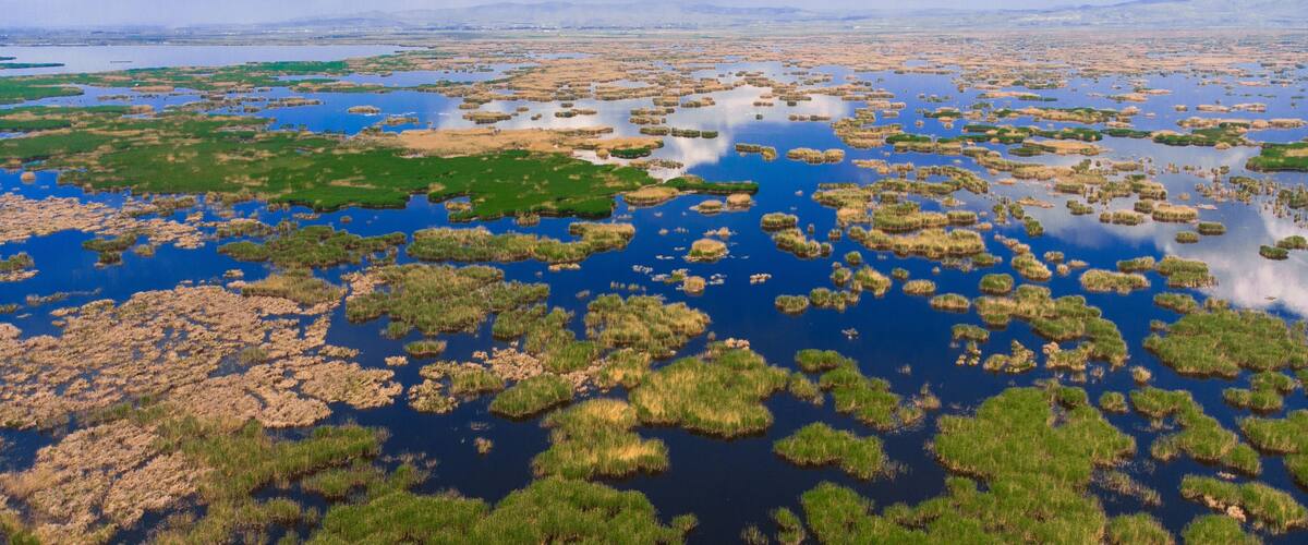 A vast wetland with numerous small islands and patches of green vegetation.