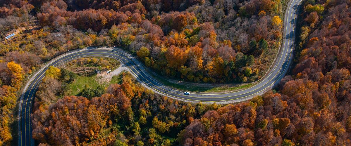 A winding road through a forest with autumn foliage.
