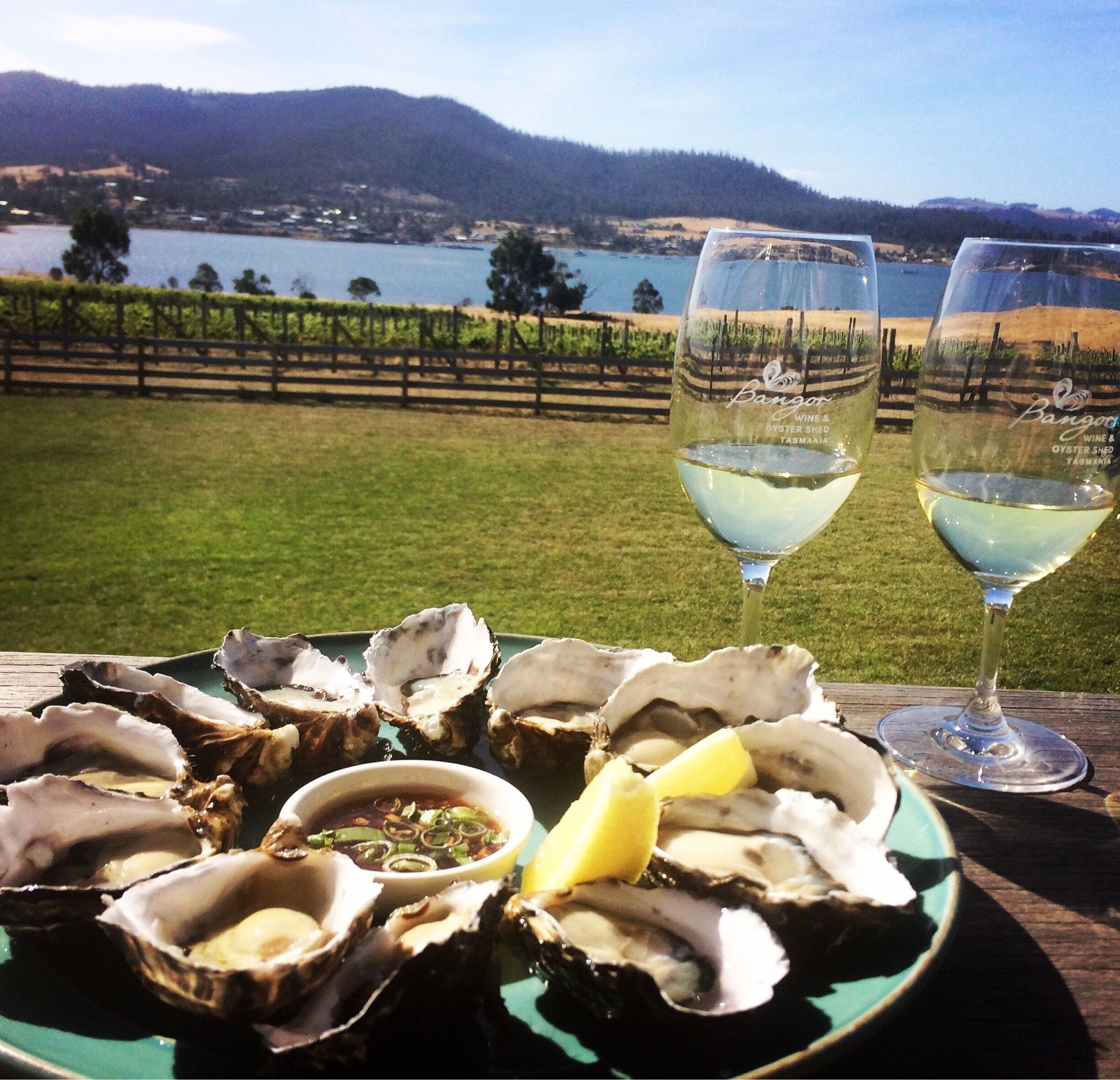 Life is pretty good out here 🤘