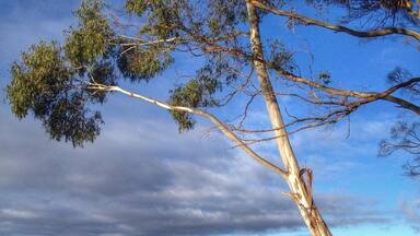 There's lots of little stopping areas along the highway through Franklin that make for a lovely photo over the river.