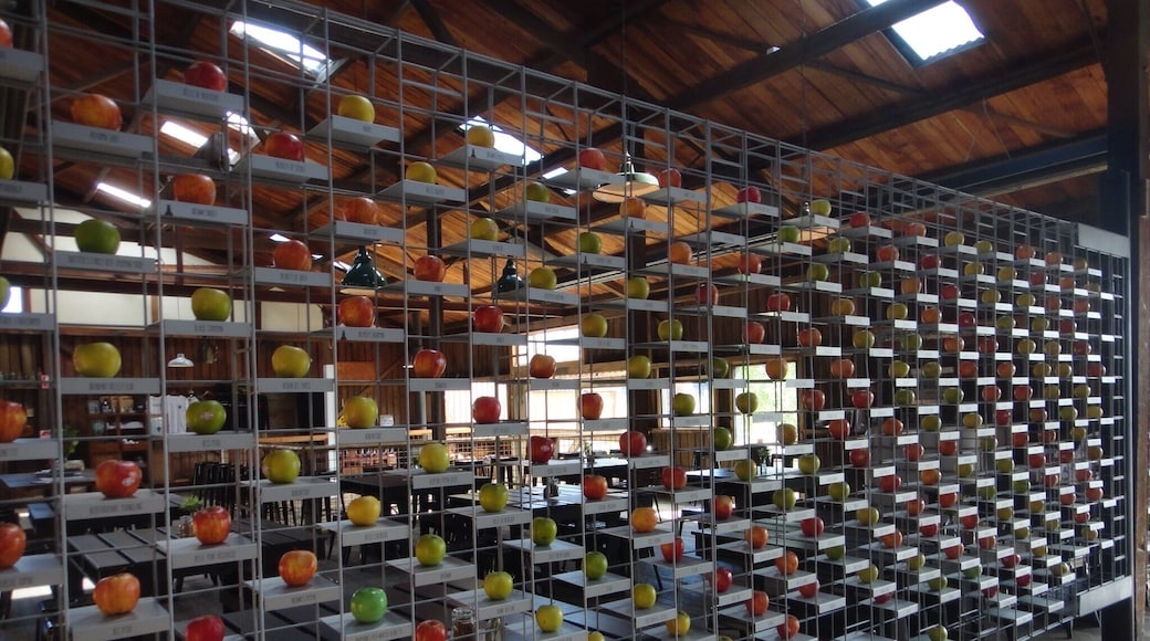 I never realised how many different varieties of apples there were! @ The Apple Shed the food, coffee & ciders are well worth stopping off for!