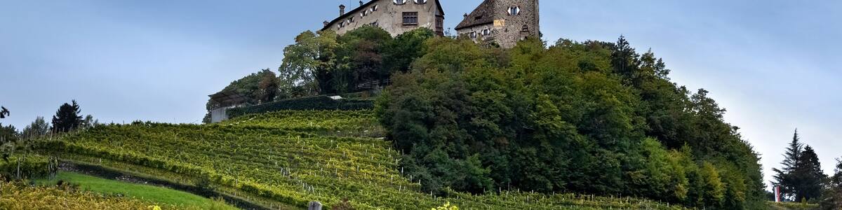 The vineyards of the village of Prissian/Prissiano overlooked by the medieval Wehrburg castle. Tisens/Tesimo, Bolzano province, Trentino Alto-Adige, Italy, Europe.