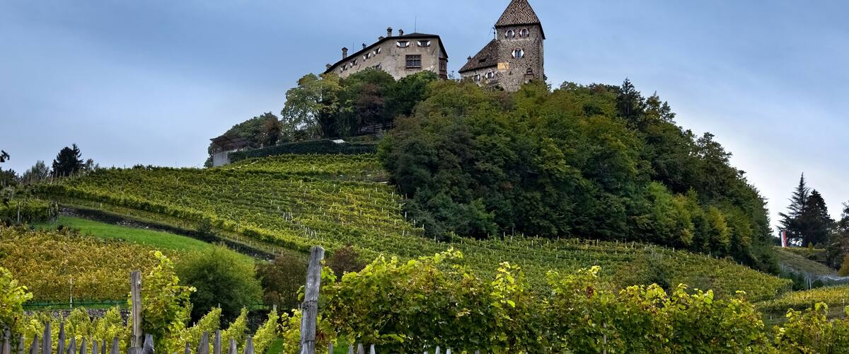 A historic building with a tower on a hill, surrounded by lush vineyards.